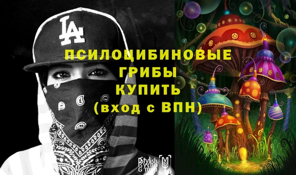 2c-b Аркадак