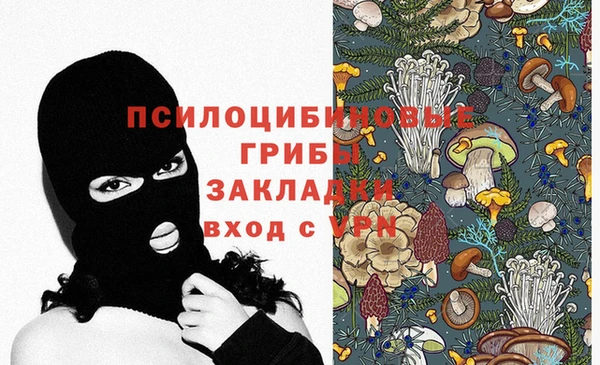 2c-b Аркадак